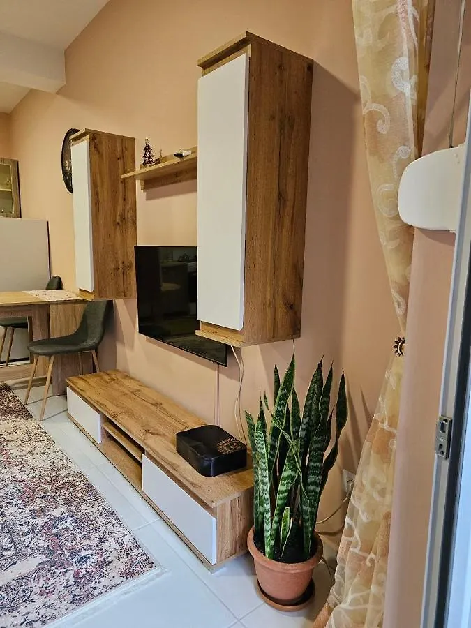 Felis Apartment Tirana Albania